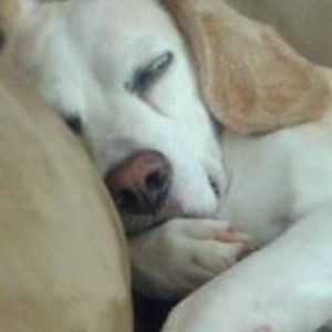 Meet your Posher, Kimberlee